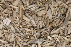 biomass boilers Balgowan